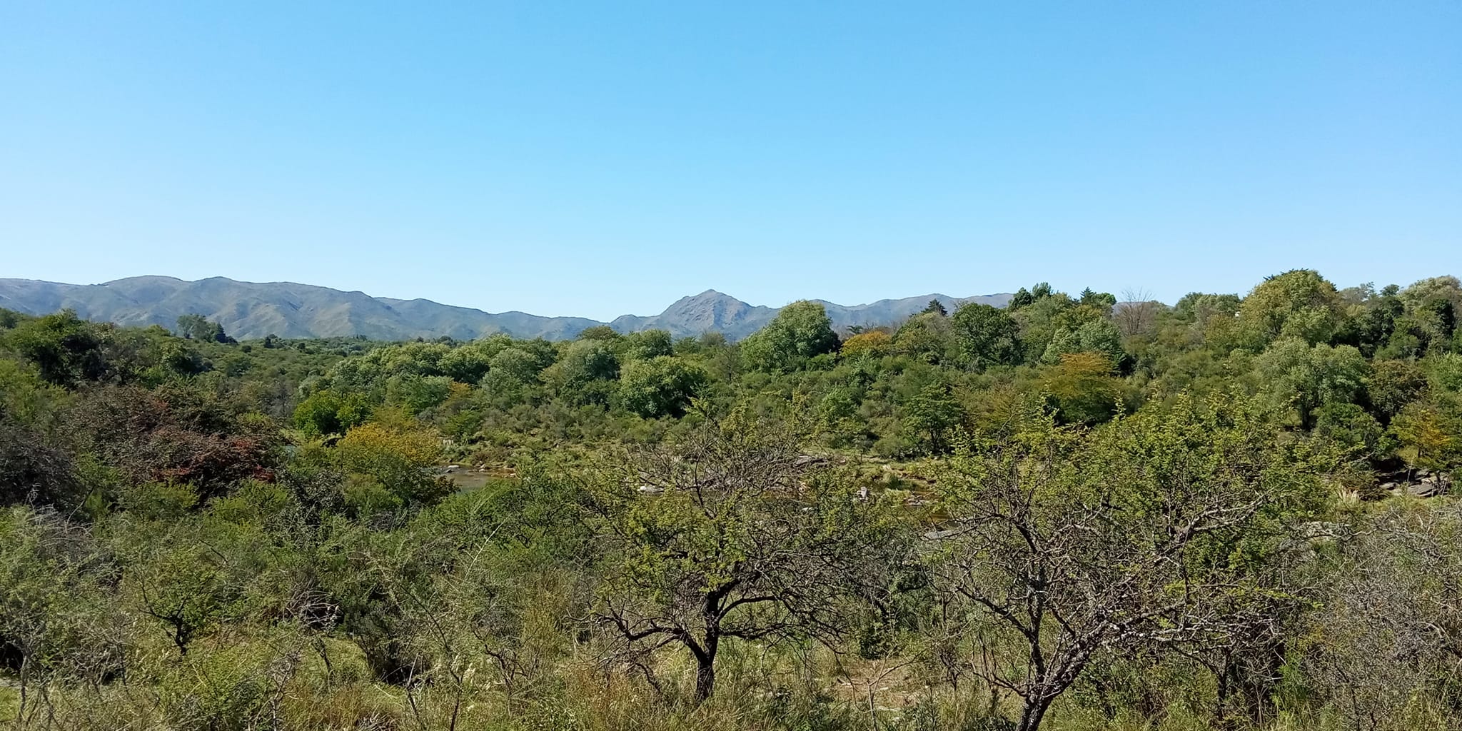 COSQUIN 8